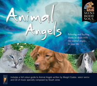 Animal Angels & Connecting with Animals