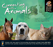 Animal Angels & Connecting with Animals